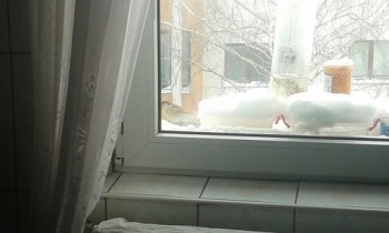 20170109_113950.jpg