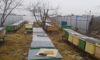 20170206_150058.jpg