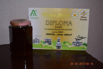 DSC_0784 - Copy.JPG