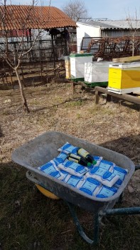 20170305_1052301.jpg