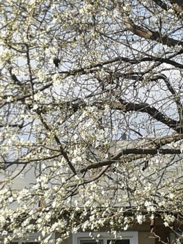 rsz_20170324_161252.jpg