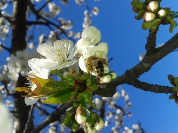 rsz_20170402_150527.jpg