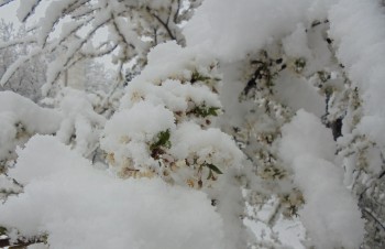 DSC00235.JPG