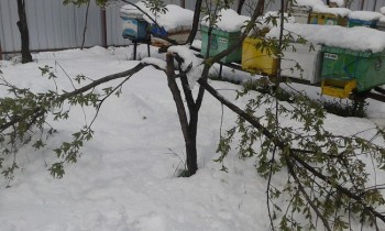 20170421_114151.jpg