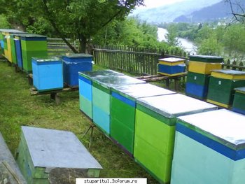 ok_166452.jpg