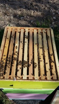 20170512_181002-459x816.jpg