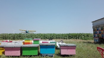 rsz_img_20170629_114826.jpg