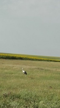 rsz_img_20170703_090328.jpg
