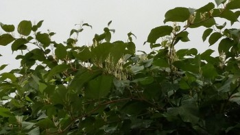 20170725_131028-816x459.jpg