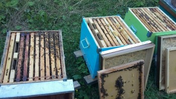 20170803_181114-816x459.jpg
