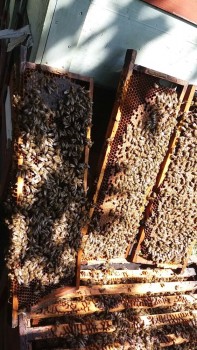 20170915_131850.jpg