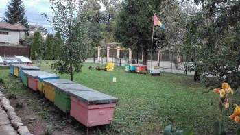 rsz_img_20171008_175255.jpg