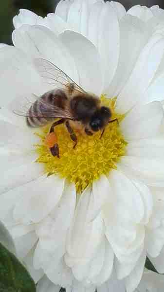 rsz_img_20171010_170459.jpg
