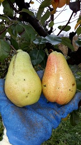 IMG_20171023_104017.jpg