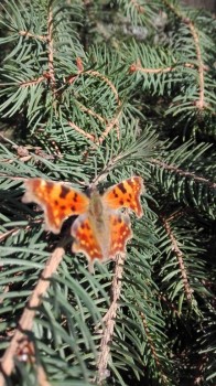 rsz_img_20171102_132227.jpg