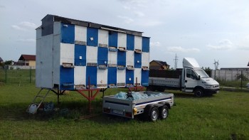 20170504_164648.jpg
