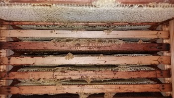 20170817_074226.jpg
