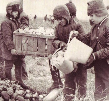 1980_elevi-din-braila-scosi-la-munca_1.jpg