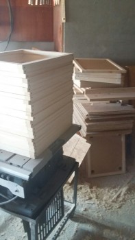 20180130_130826-459x816.jpg