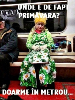 PRIMAVARADOARMEINMETROU.jpg