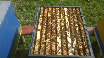 20180410_154725_800x450.jpg