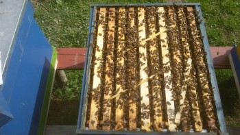 20180410_154741_800x450.jpg