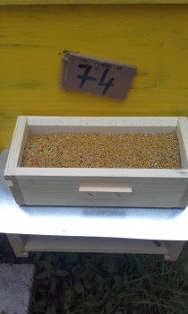 20160419_065328.jpg