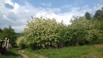20180505_180305.jpg