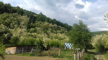 20180505_180322.jpg