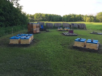 IMG_4700.JPG
