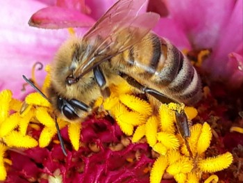 rsz_20180730_214915.jpg