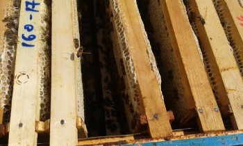 20180524_160053.jpg