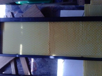 received_384485549004236.jpeg