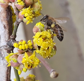 rsz_20190308_185319.jpg