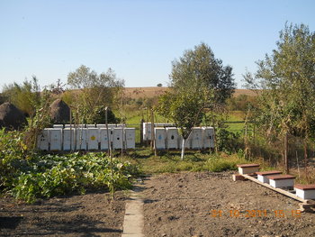 rsz_dscn1950.jpg