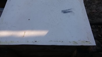 73495083_2418707058242857_4195063479066951680_n (1).jpg