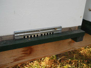 rsz_dscn1969.jpg