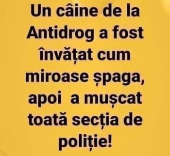 FB_IMG_1647290114915.jpg