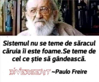FB_IMG_1657688239889.jpg