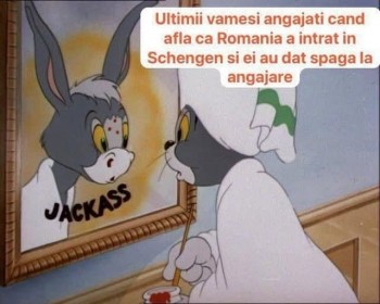 FB_IMG_1735908515690.jpg
