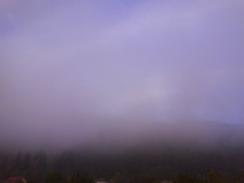 DSC03698.JPG