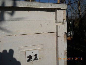 rsz_dscn2143.jpg