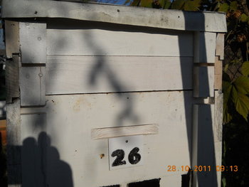 rsz_dscn2144.jpg