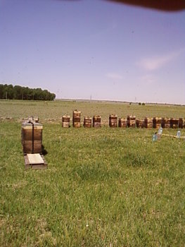 SP_A1741.jpg