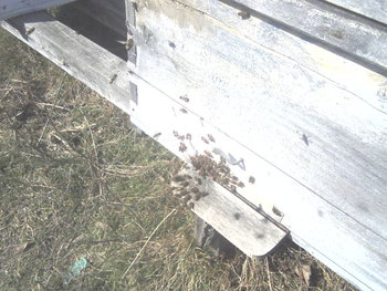 IMG039-01.jpg