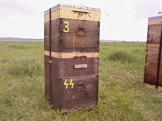 SP_A1755.jpg