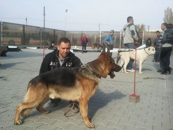 2011-11-05 12_opt.jpg