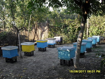 Picture 429_opt.jpg