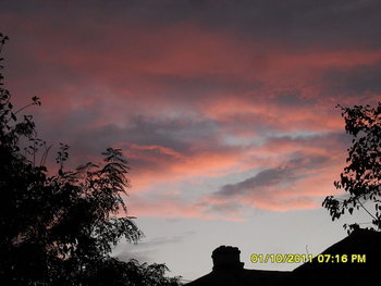 Picture 760_opt.jpg