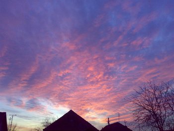 20112008096 (Large).jpg